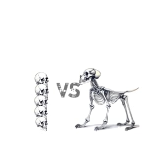 Skeleton fight T-Shirt