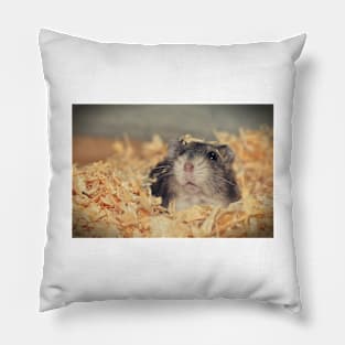 Humster Pillow