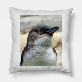 Little Penguin Pillow