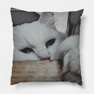 Cute lap cat Pillow