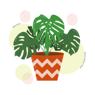 Monstera plant in the ceramic pot T-Shirt