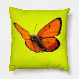 Butterfly Pillow