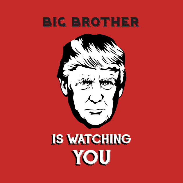 Image result for big brother is watching you