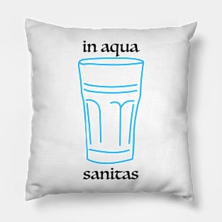 In aqua sanitas Pillow