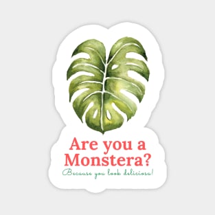 Monstera Deliciosa Magnet