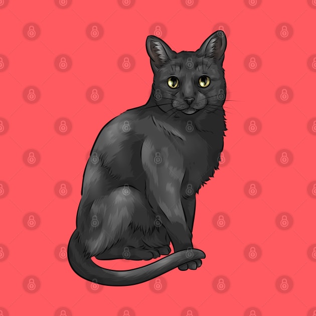 Cute Black Cat by Shirin Illustration