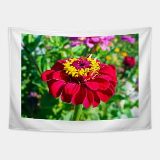 Zinnia Study 4 Tapestry