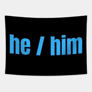 HE / Him Pronouns Tapestry