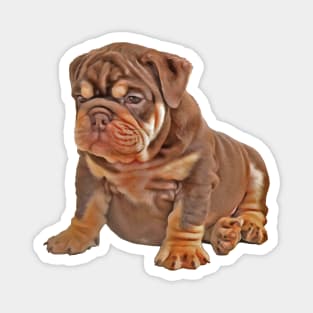 Bulldog Puppy Cute and Chubby Magnet