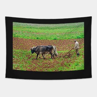 Ploughing. Tapestry