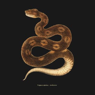 Terracotta snake T-Shirt