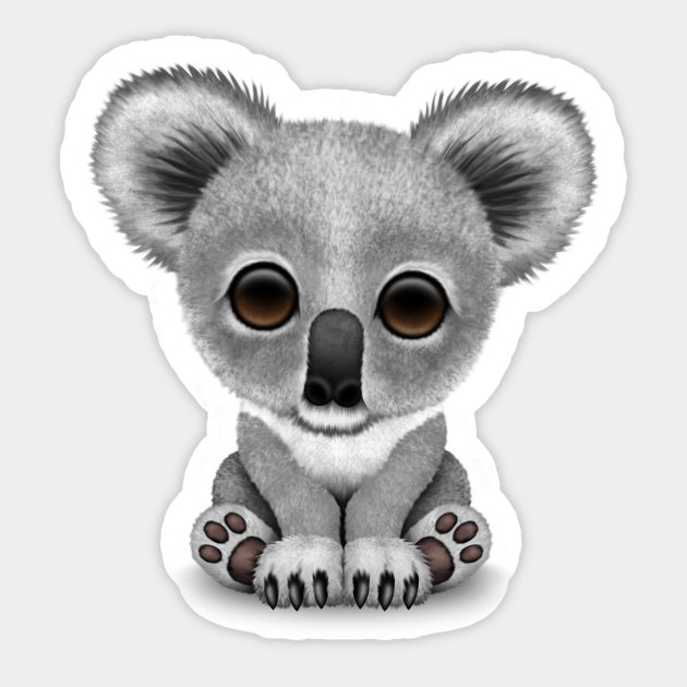 Cute Baby Koala Bear Cub Koala Sticker Teepublic