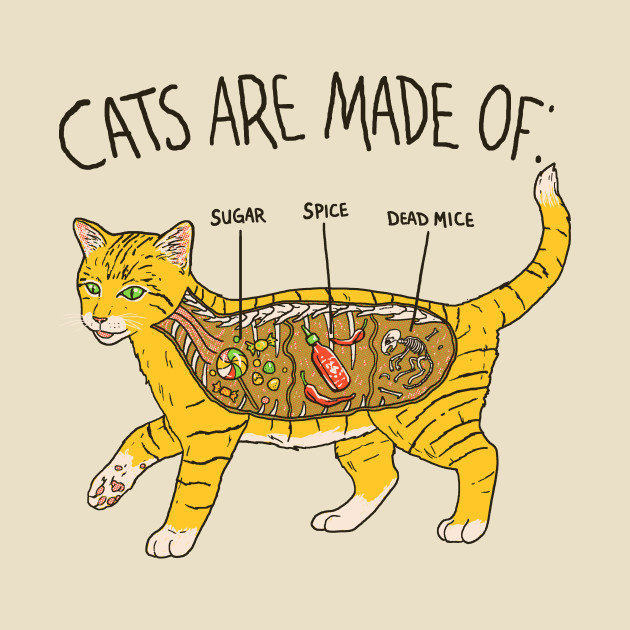 Cat Anatomy - Cats - T-Shirt | TeePublic