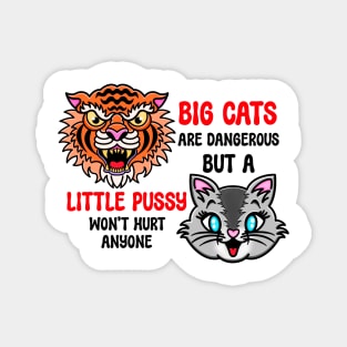 Big Cats Magnet