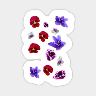 Flowers, violets Magnet