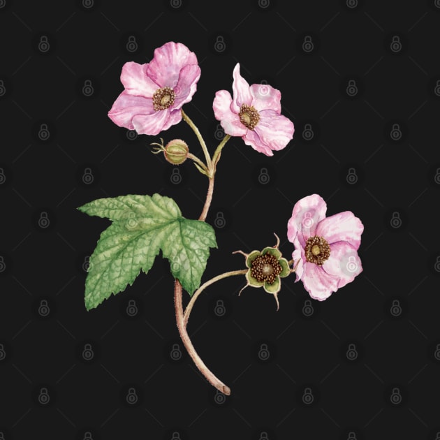 Pink Watercolor Flowering Raspberry by Anna H