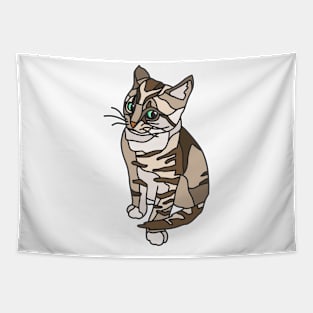 Brown Tabby Kitten Side Eying You Tapestry
