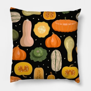 Squash and Pumpkin Pillow