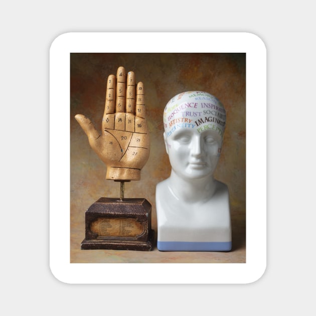 Phrenology Head And Rascette Hand Magnet by photogarry