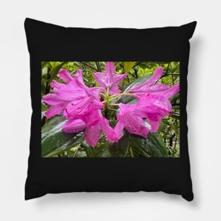 Summer Pink Rhododendron Riot in the Rain Pillow