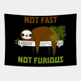 Lazy Sloth "Not Fast Not Furious" Tapestry