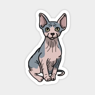 Sphynx Cat (Large Print) Magnet