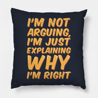 Sarcastic Quote Righteous Explanation Pillow