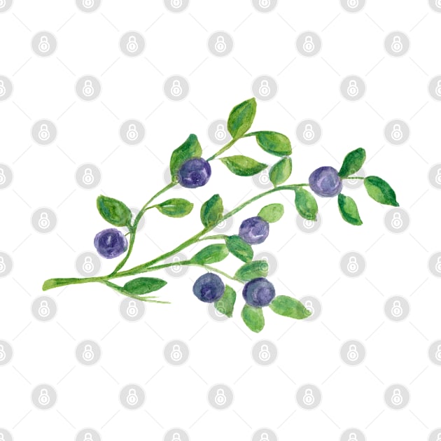 Blueberries - delicious harbinger of late summer by Elena Ehrenberg