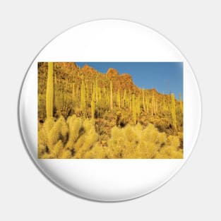 Sonoran Desert Landscape Pin