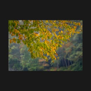 Colorful Leaves at Vogel State Park T-Shirt