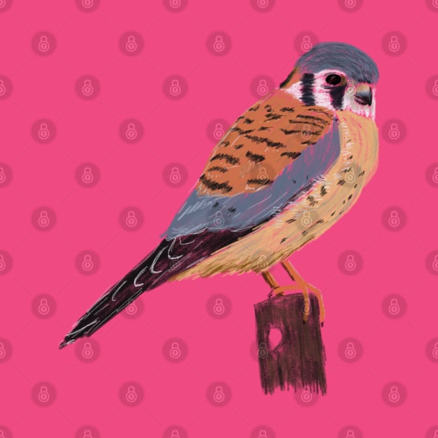 American Kestrel by Studio Gorgoth