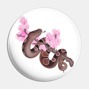 Pink Sakura Ball Python: Brown Pin