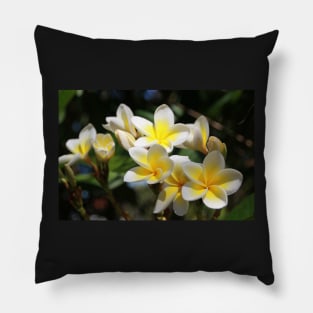 Frangipani Pillow