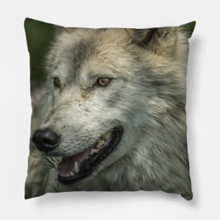 Arctic Wolf Portrait Pillow