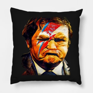 A Northern Laddin Sane Pillow