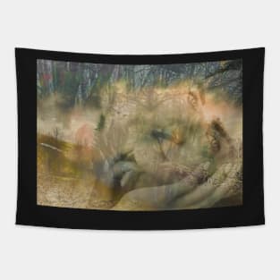 A New Dream Tapestry