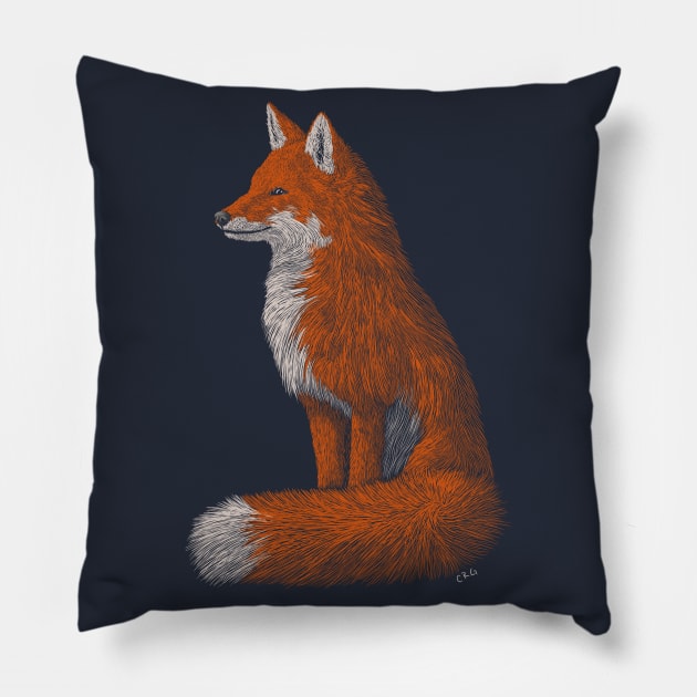 Red Fox Pillow by Walking in Nature