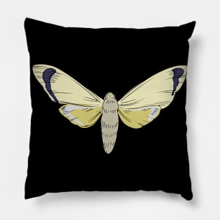 Cicada Cicadas Brood Insect Pillow