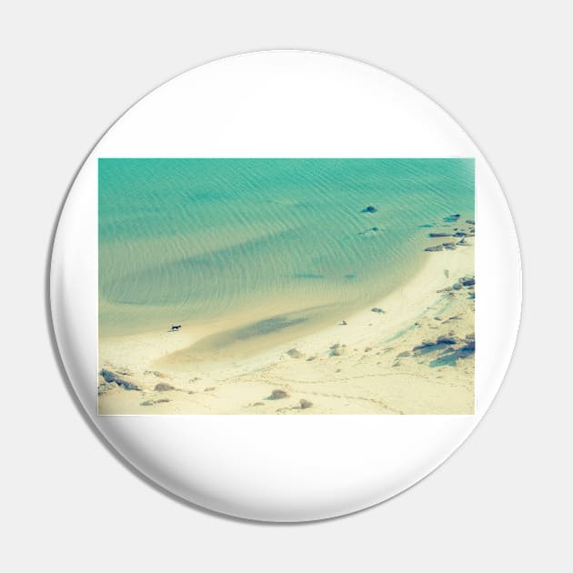 Dog running on the beach Pin by calamarisky