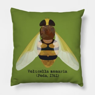 Hornet hoverfly Volucella zonaria. Pillow