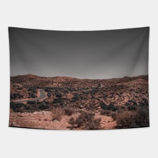 Road to Joshua Tree National Park Adventures V3 Tapestry