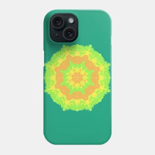 Citrus Mandala Phone Case