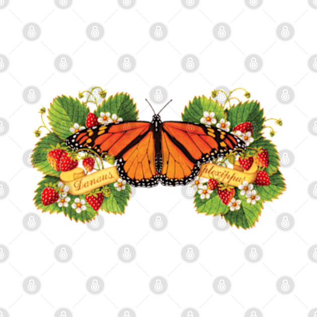 Monarch Butterfly with Strawberries by PatriciaSheaArt