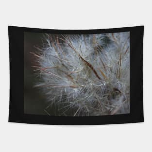 Soft field sunset Tapestry