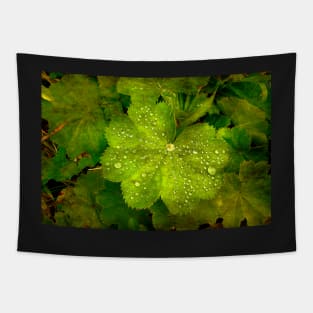 Rain Pearls Tapestry