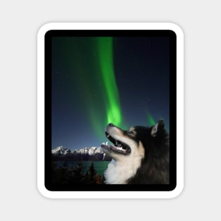 Northern lights lappie Magnet