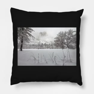 Winter Pillow