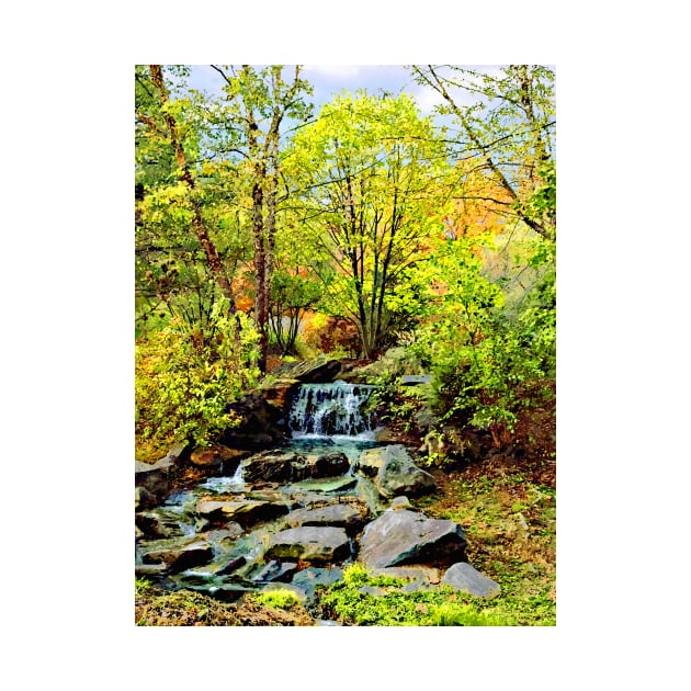 Small Waterfall in Autumn Park by SusanSavad