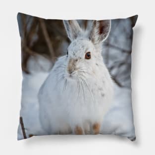 Snow Shoe Hare Pillow