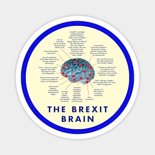 THE BREXIT BRAIN - A GUIDE Magnet